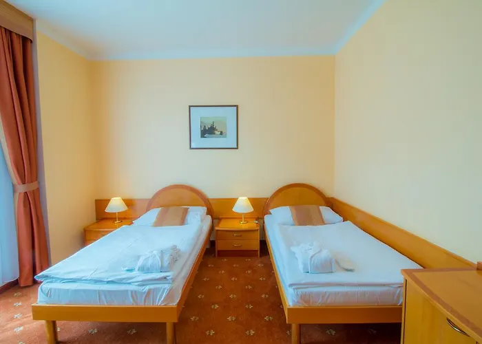 Hotel Ensana Hvezda - Imperial - Neapol